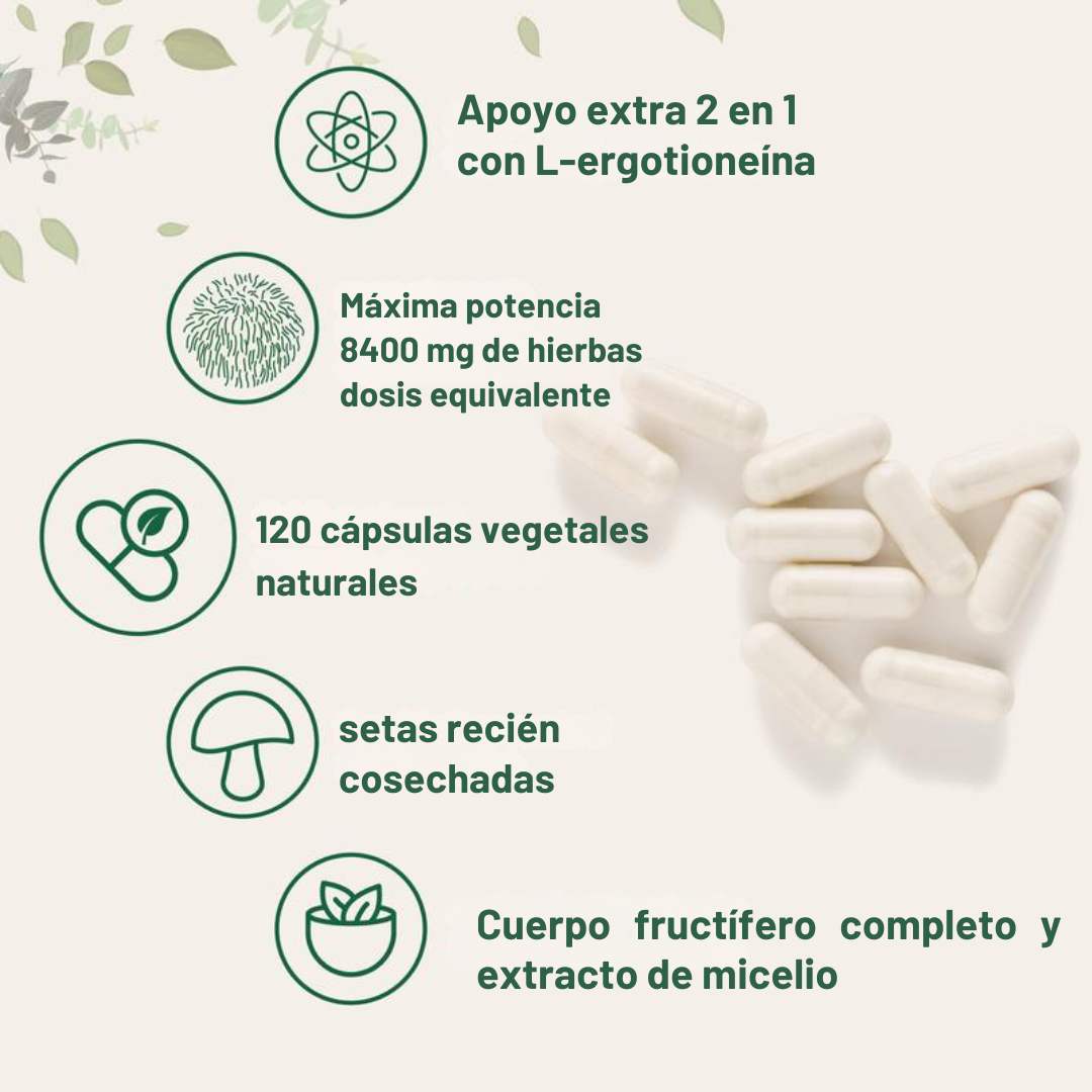 🧠  Melena de León 2 en 1 X 240 cáps – Enfoque y claridad mental 🍄