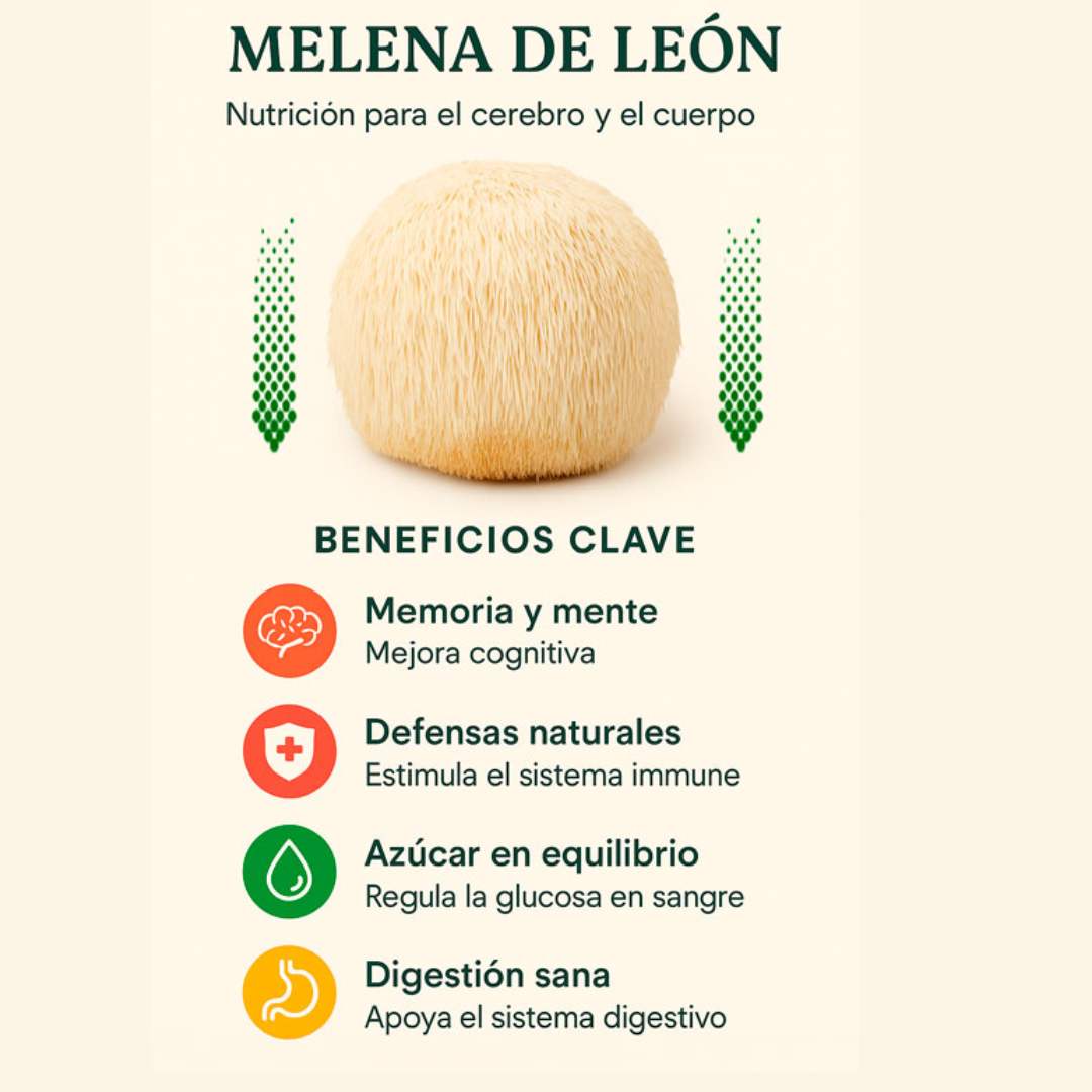 🧠  Melena de León 2 en 1 X 240 cáps – Enfoque y claridad mental 🍄