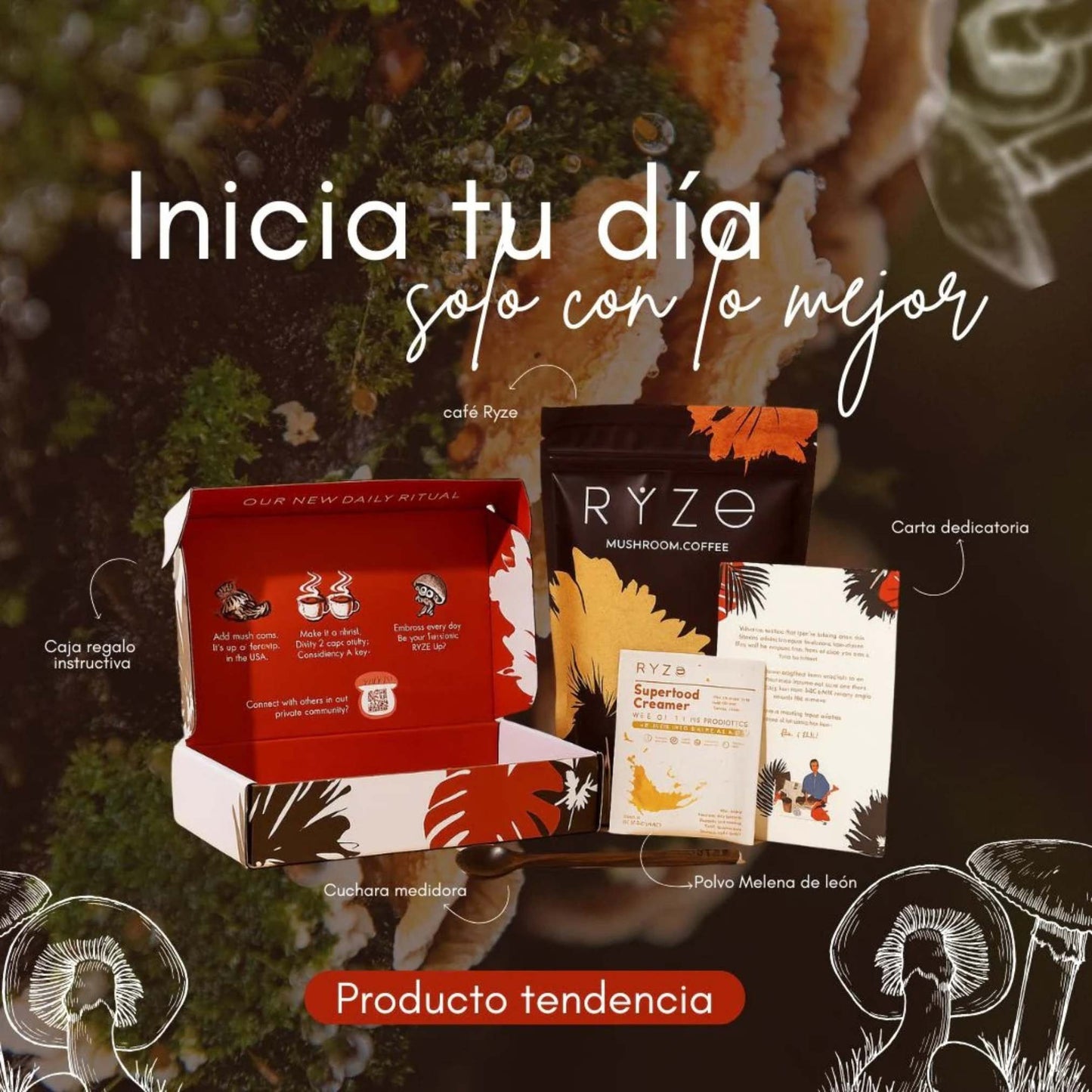 Ryze Mushroom Coffee Kit 🍄 – Energía natural y bienestar diario ☕