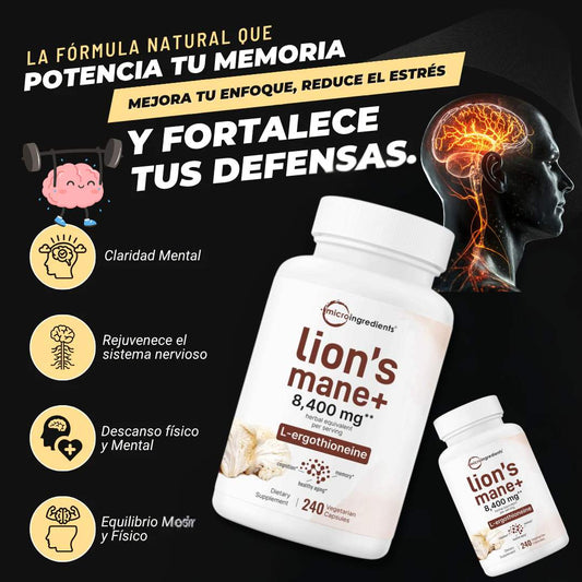 🧠  Melena de León 2 en 1 X 240 cáps – Enfoque y claridad mental 🍄